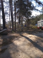 Пожар на Кремешках - 6.jpg